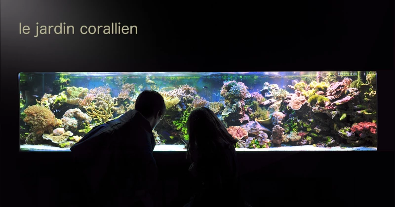 Aquarium-Museum (Luik)