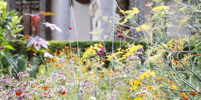 Pashouder test: nieuwe tuin en Rubens Experience in het Rubenshuis