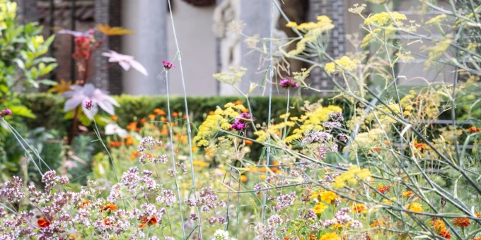 Une détentrice de pass a testé : le nouveau jardin et Rubens Experience de la Maison Rubens