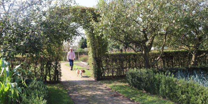 Bezoekjes met viervoeters: 10 musea waar je hond welkom is