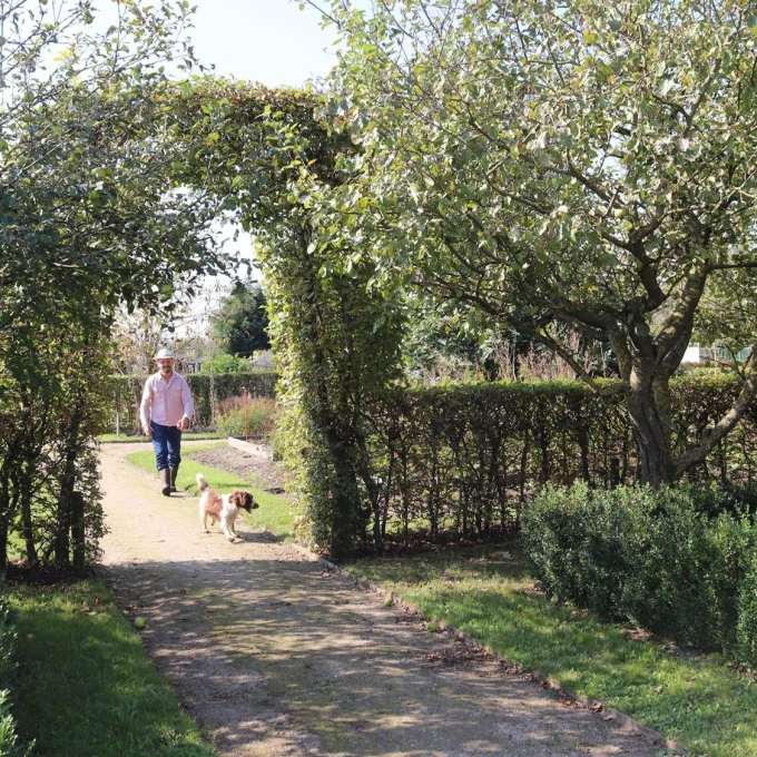 Bezoekjes met viervoeters: 10 musea waar je hond welkom is