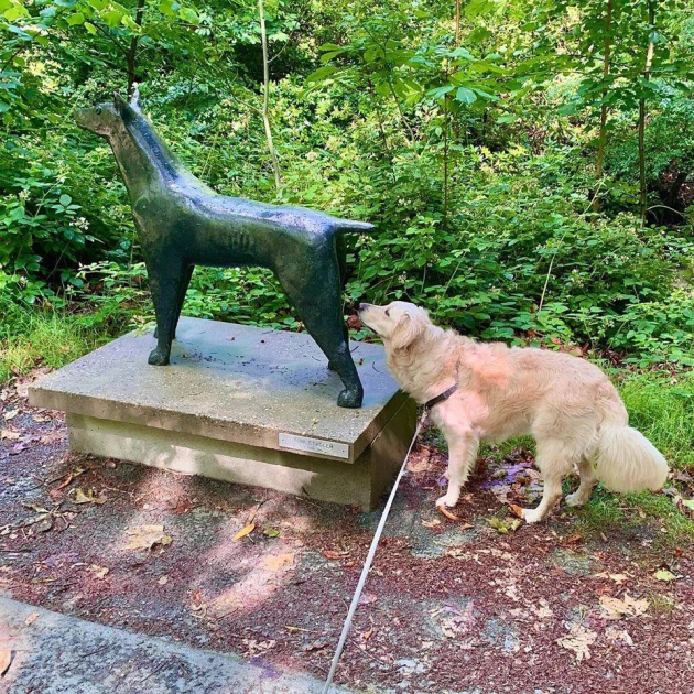 Musée Middelheim avec chien