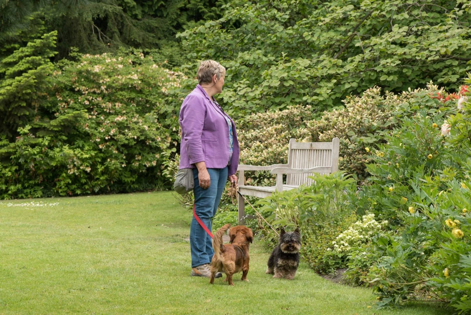 Arboretum Kalmthout avec chien